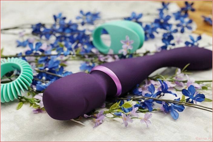 we-vibe, обзор, лучшие, вибраторы, этой