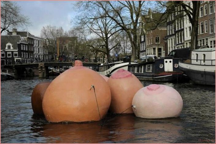 новости, амстердама, плавающая, женская, грудь