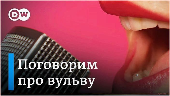 вульва, вагина, влагалище, разница