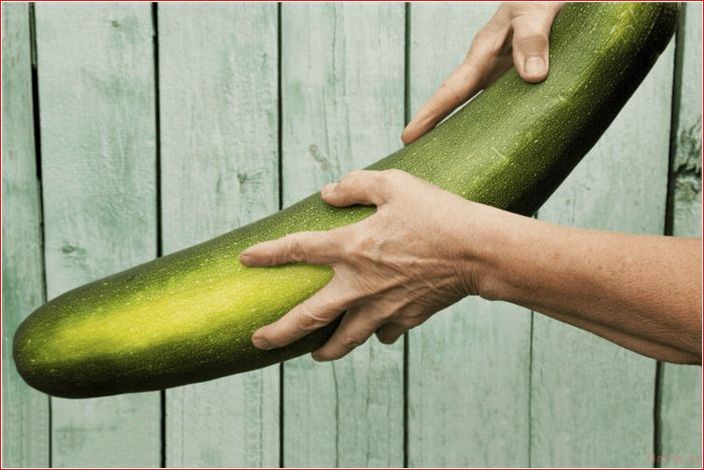обхват, члена, точно, удовлетворит