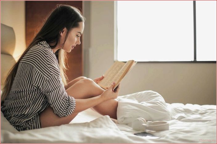 книжный, червь, читать, эротические