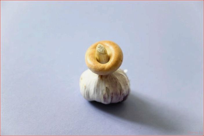 безопасно, эрекционное, кольцо