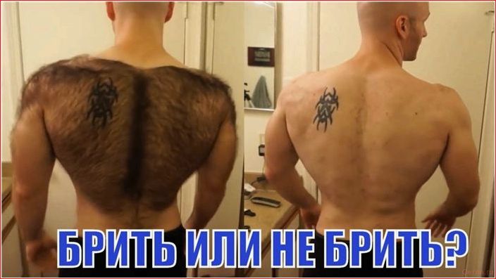 нравятся, женщинам, волосы, груди, мужчин