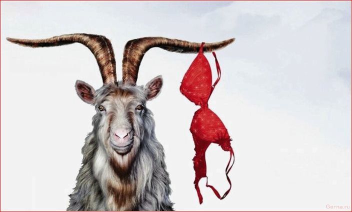 любящий, мужчина, изменяет, узнать