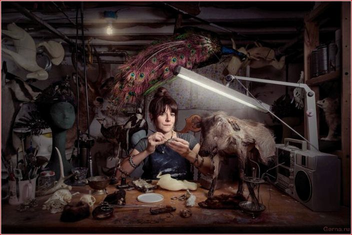 Работы, на которых шансы женщин забеременеть, снижаются работы, шансы, женщин, забеременеть, снижаются