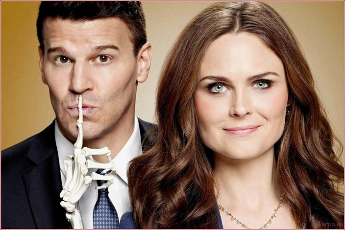 Сериалы, похожие на Кости – 10 детективов, где напарники всегда тут как тут сериалы, похожие, кости, детективов, напарники