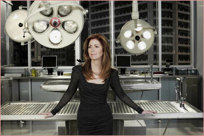 Сериалы, похожие на Кости – 10 детективов, где напарники всегда тут как тут сериалы, похожие, кости, детективов, напарники