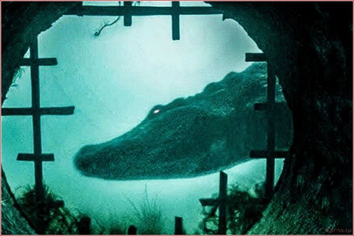 лучших, фильмов, катастроф, сделают