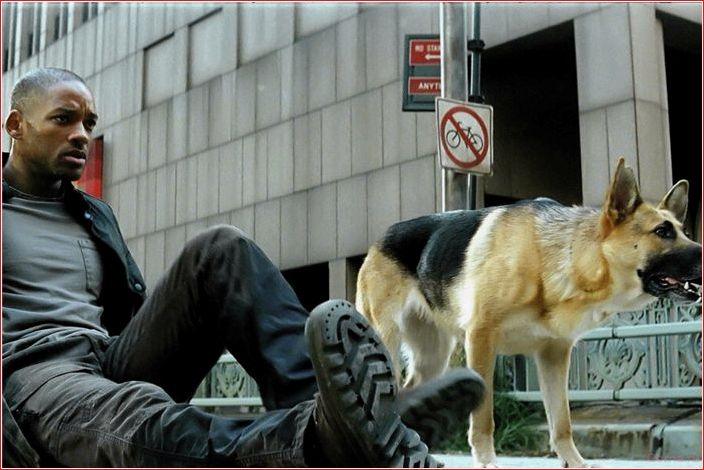 лучших, фильмов, катастроф, сделают