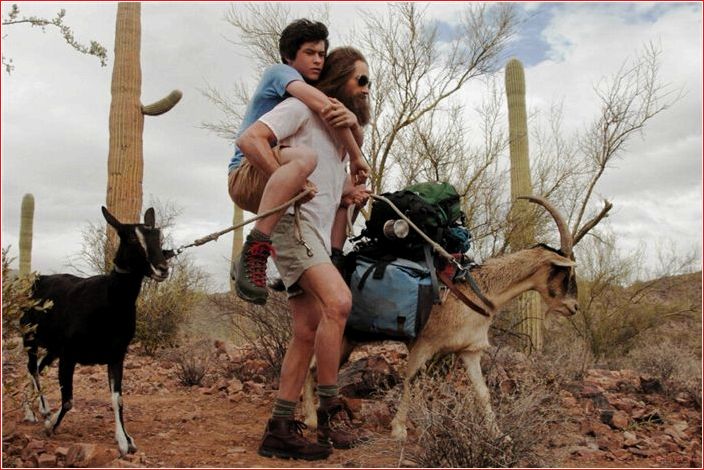 Фильмы с Дакотой Джонсон: 27 кинолент, которые покорили Голливуд фильмы, дакотой, джонсон, кинолент