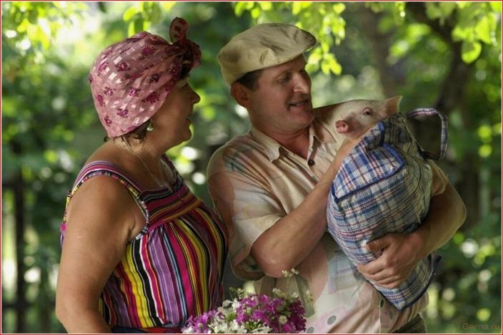 сериалы, похожие, сватов, список, отечественных