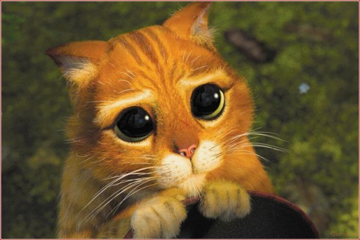 правильное, поведение, ссоры