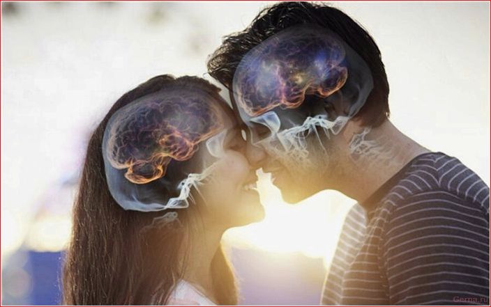 химия, любви, научный, взгляд, любовь