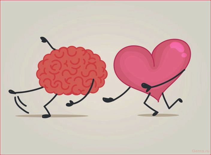 химия, любви, научный, взгляд, любовь