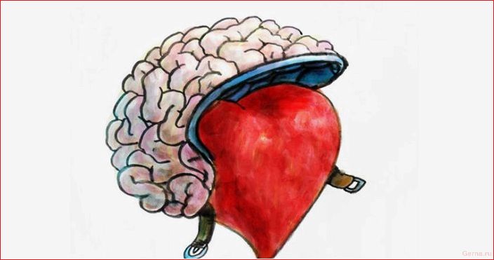 химия, любви, научный, взгляд, любовь