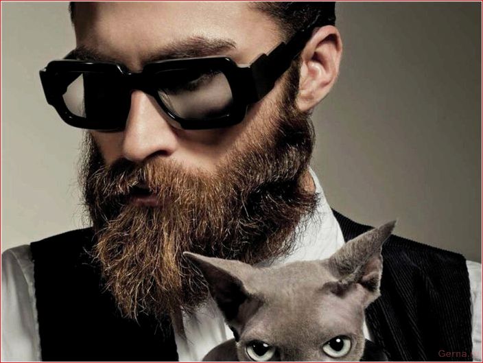 признаки, альфа-самца, мужчина, который, знает