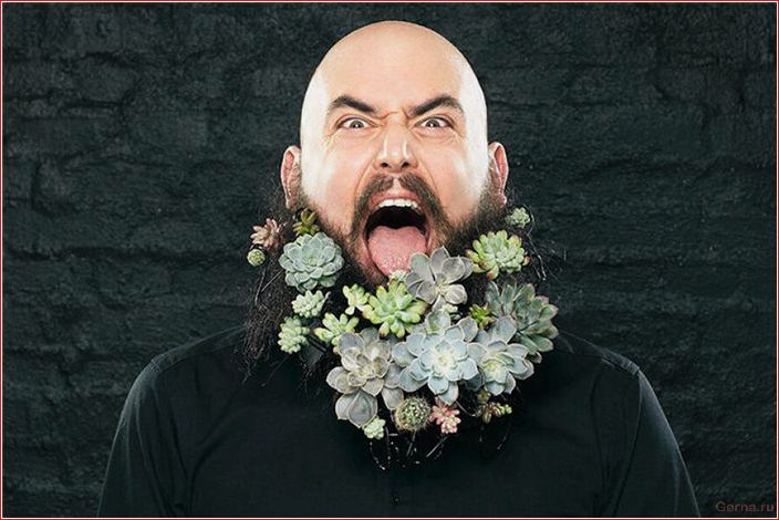 признаки, альфа-самца, мужчина, который, знает