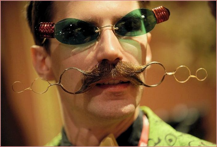 признаки, альфа-самца, мужчина, который, знает