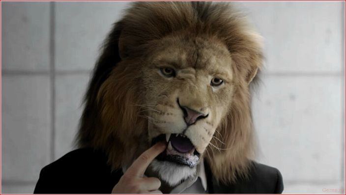 признаки, альфа-самца, мужчина, который, знает