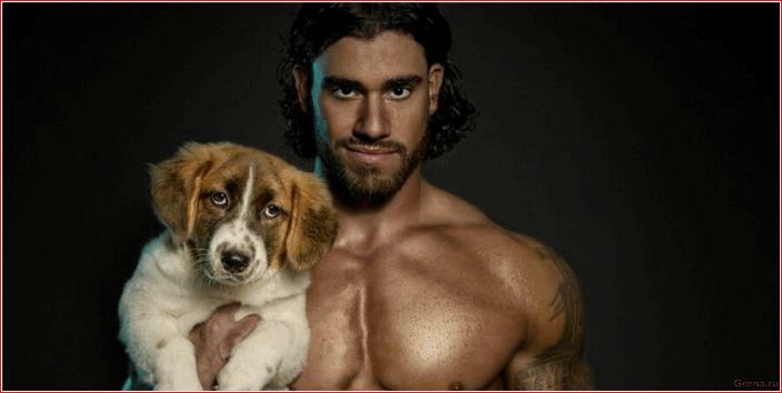 признаки, альфа-самца, мужчина, который, знает