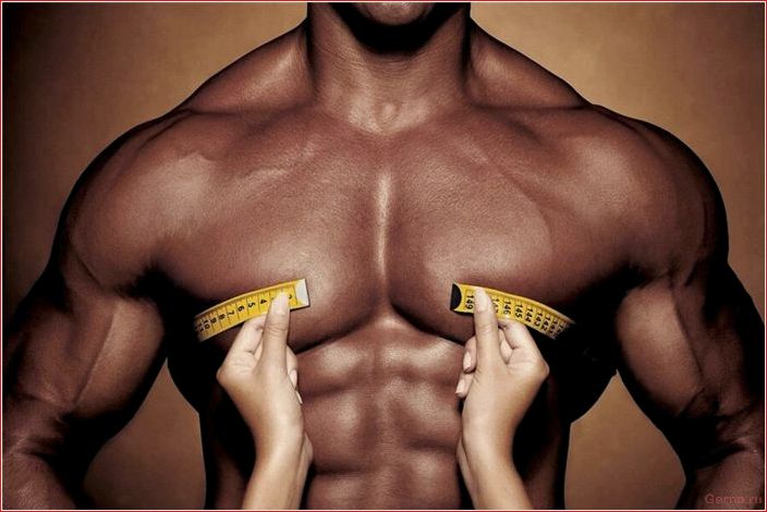 признаки, альфа-самца, мужчина, который, знает