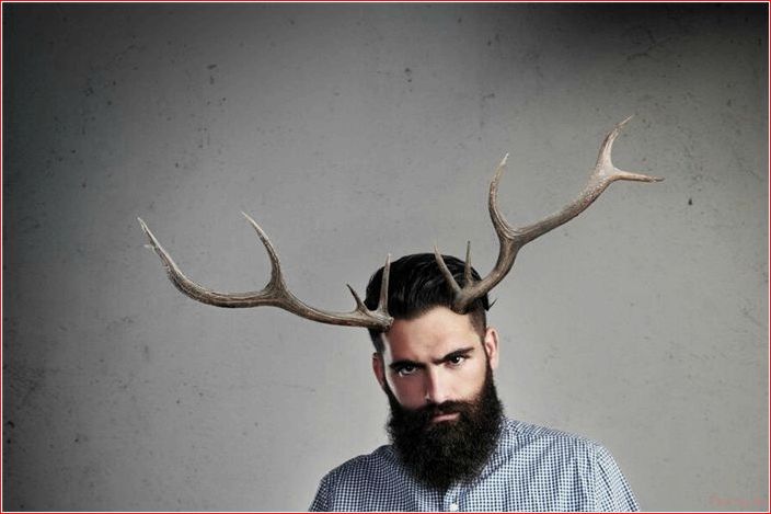 куколд, создаются, отношения, смысл