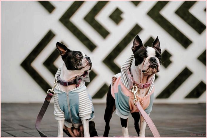 хочешь, качественное, свидание, забудь, перед